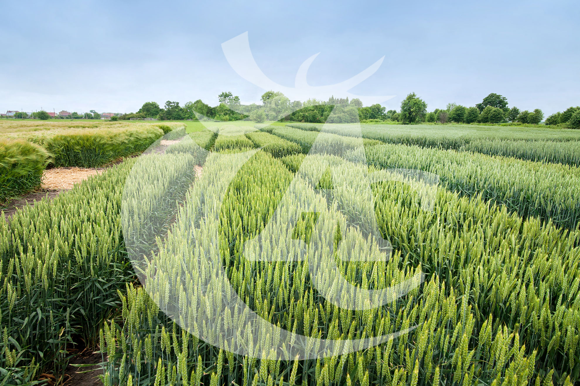 Instalaciones Agroquímicos Cerezo en Talavera la Real