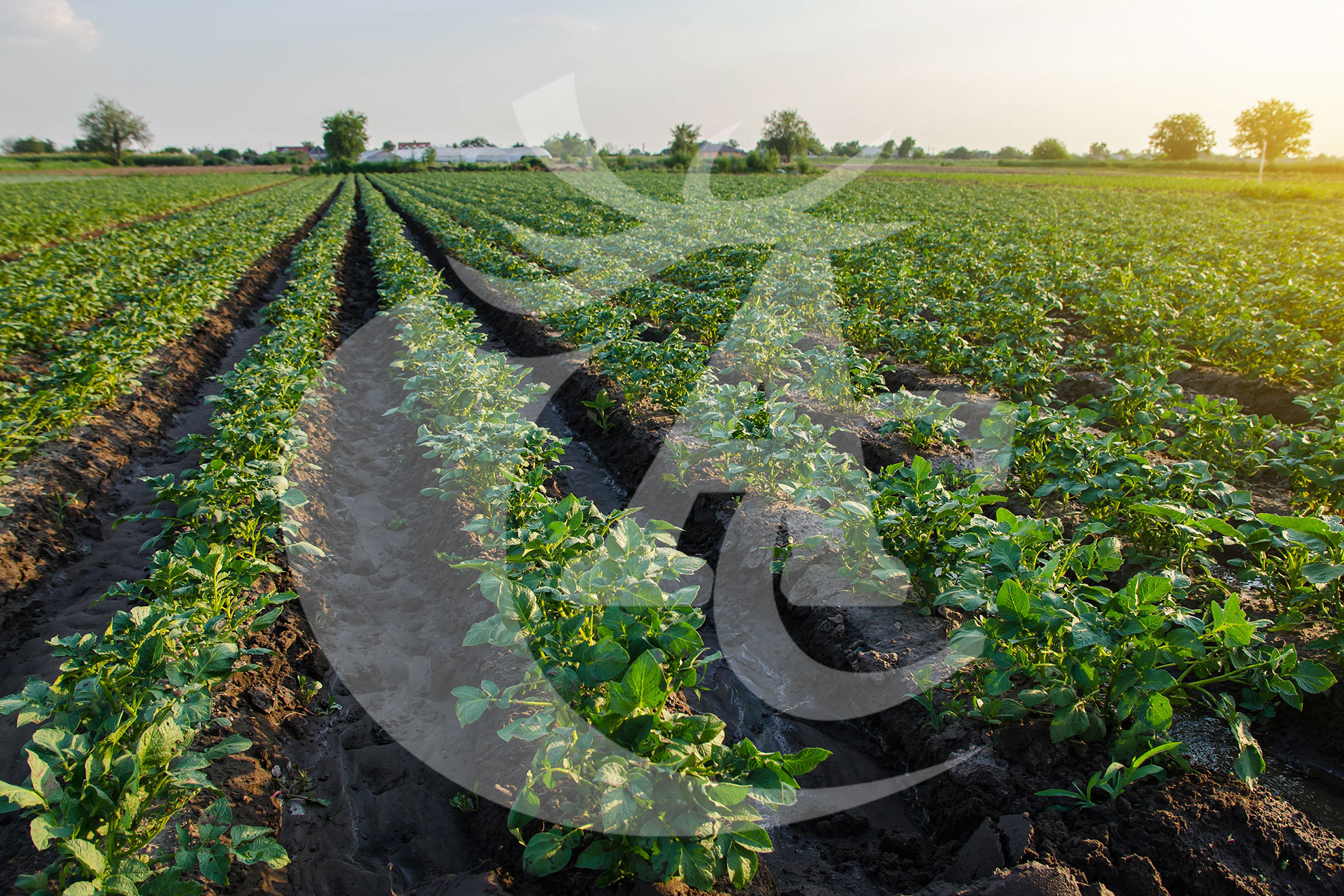 Agroquímicos Cerezo - Imagen 21