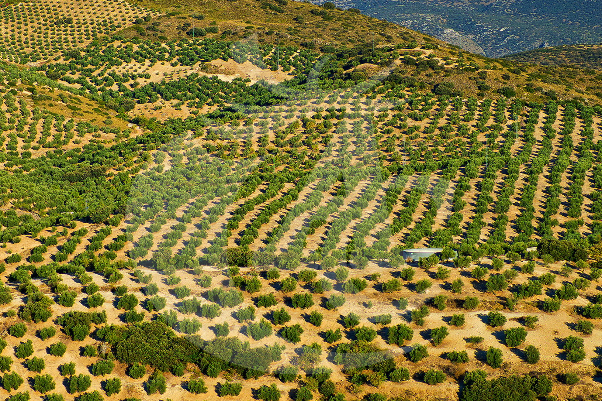 Agroquímicos Cerezo - Imagen 27